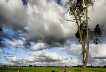 国乒名单有变！增补1人参加仁川赛，总计4位世界冠军+4位非主力.