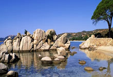 曝哈登被顶伤膝盖同时还扭伤脚踝 目前移动十分困难.